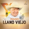Yaguazo - Déjame Que Te Quiera