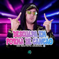 Desculpa em Forma de Canção - Single - MC RESTRITO ORIGINAL, DJ ALANZIN & DJ RICCA ORIGINAL