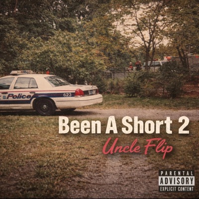 Been A Short II
