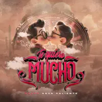 TE QUIERO MUCHO — BANDA AGUA CALIENTE