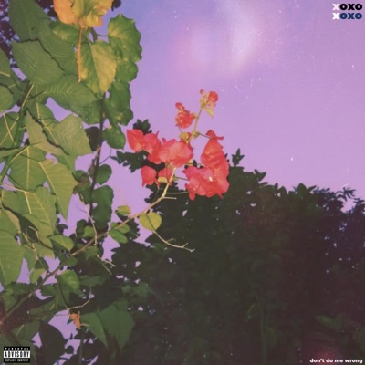 don't do me wrong - Single