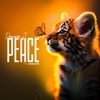 Peace (feat. Princess J) - Single