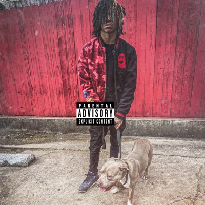 DFOX (feat. B00LSEYE & TheMgod) - Single