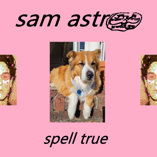 Spell True - Single