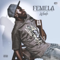 Aye Mi (feat. Stonner) - Single - Whale Femela