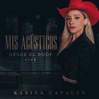Mis Acústicos Desde El Roof (Live Session) - EP - Karina Catalán