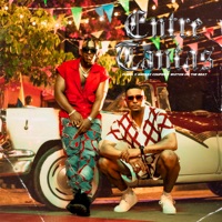 Entre Tantas - Single - Flama & Andres Couper