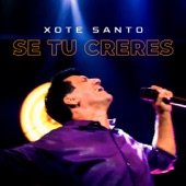 Se Tu Creres artwork