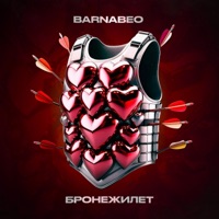 Бронежилет - Single - Barnabeo
