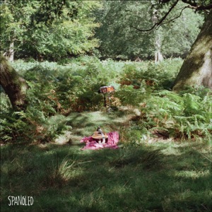 Maggie - Single