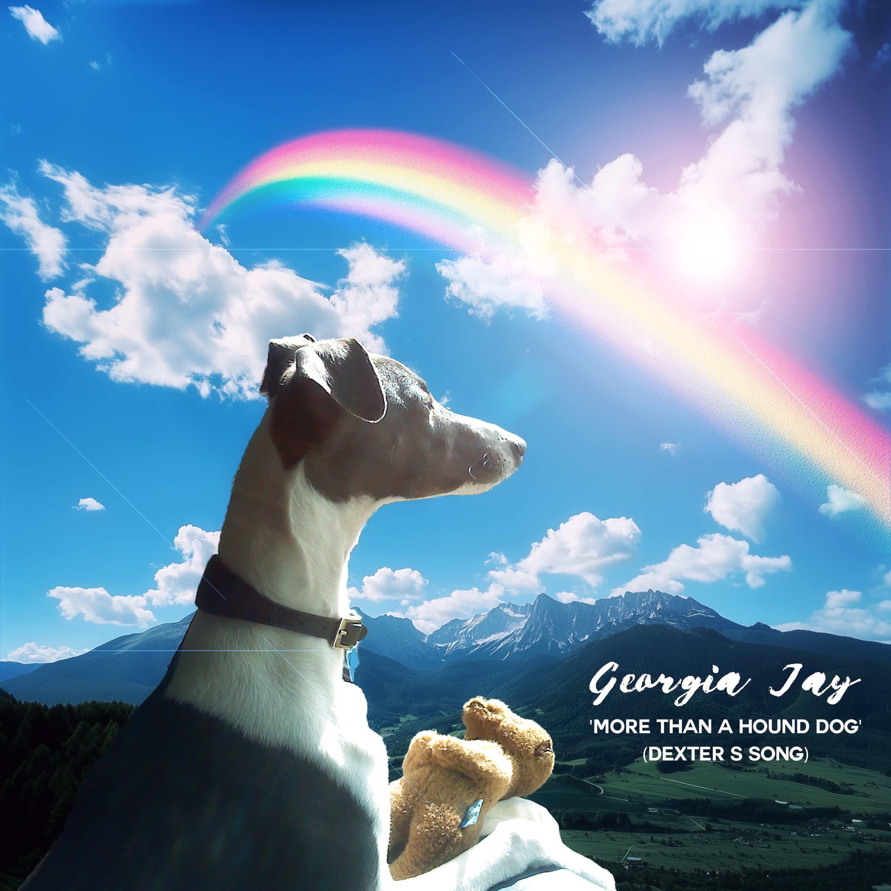 MORE THAN A HOUND DOG (DEXTER S SONG) - Single
