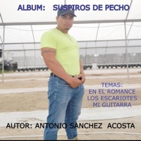 SUSPIROS DE PECHO (feat. ANTONIO SANCHEZ ACOSTA) - Single - DESCONOCIDO