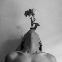 Powoli martwi - Single - BLX