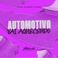 Automotivo Vai Aquecendo (feat. MC Denny & Mc Magrinho) - Single - DJ Shiruba