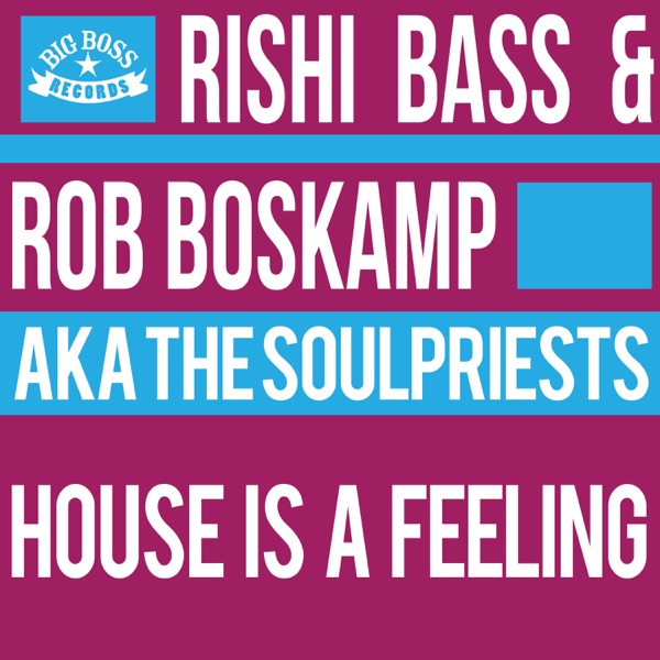 House Is a Feeling - Single