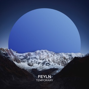 Temporary - Single