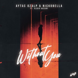 Without You (feat. Albin Hasani) - Single
