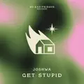Get Stupid