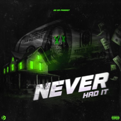 Never Had it - Single