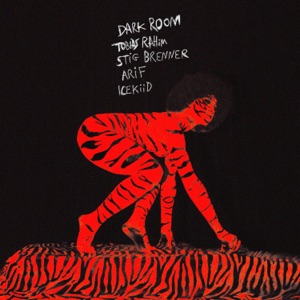 Dark Room REMIX (Tobias Rahim, ICEKIID, Stig Brenner, Arif Murakami) [feat. Stig Brenner & Arif Murakami]