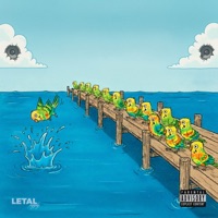 Afogamento das Piriquitas (feat. Chusk Beats & LETAL SUPPLY) - Single - DJ Rafinha Duarte, GUIBA 011, DJ Japão & MC VN do B13