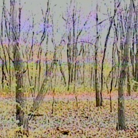 delete existence Always November & trees