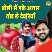 Choli Mein Pake Anar Tod le Dewariyan - Single - Manoj Baghel