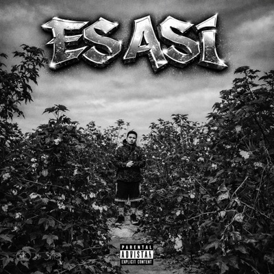 Es así - Single