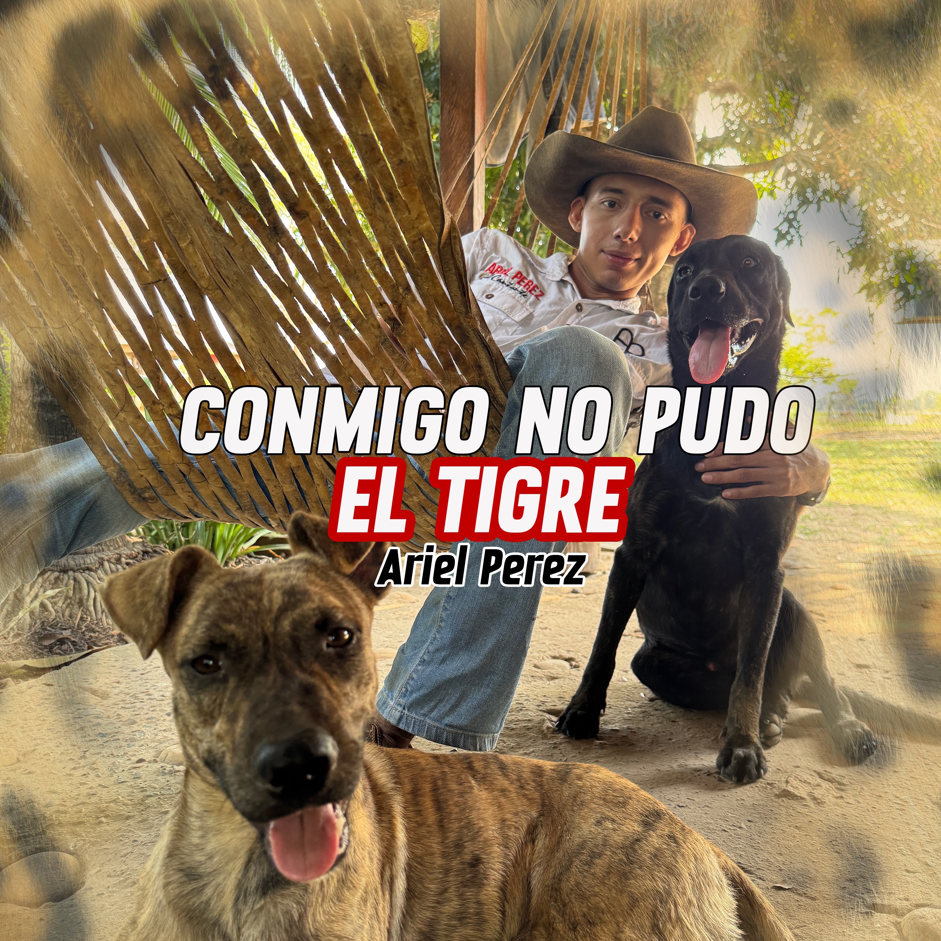 Conmigo No Pudo el Tigre - Single