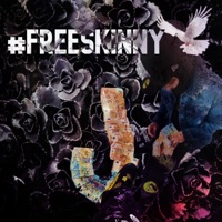 #FreeSkinny - Single - Beza Lil Punkk & MICHY 038