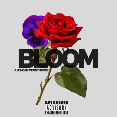 Bloom - Single