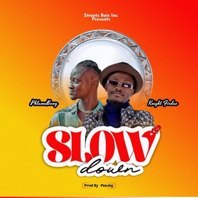 Slow Down (feat. Phlame Bwoy) - Single