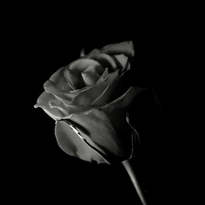 3ARF (feat. LOKOTHEDAD & Abdulrahman Mohammed) - Single