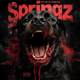 Dawgz (feat. Bill$ & Dunn Dee) Springz
