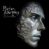 Silver Shade - Peter Murphy