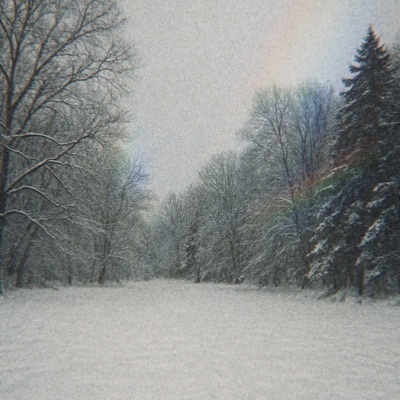 midnight snow. - Single