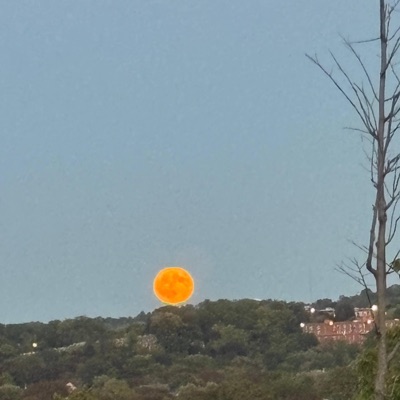 Preventable Destruction - Single