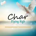 Flying High