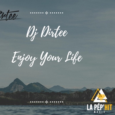 Enjoy Your Life - Single