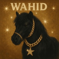 Wahid - Single - Faya