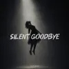 Vahid Beats - Silent Goodbye