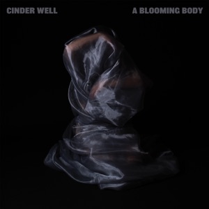 While the Womb Screams Silently - Single