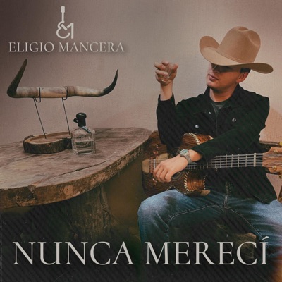 Nunca Merecí - Single