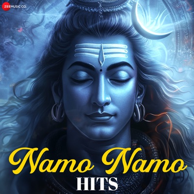Namo Namo Hits