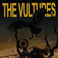 THE VULTURES - Single - PLVTINUM & Chris Grey