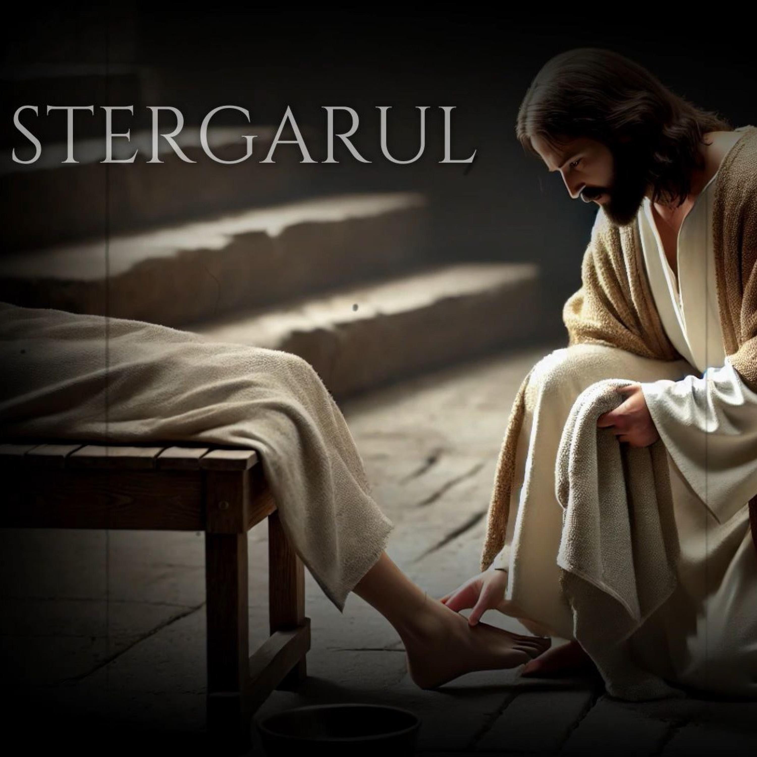 Stergarul - Single