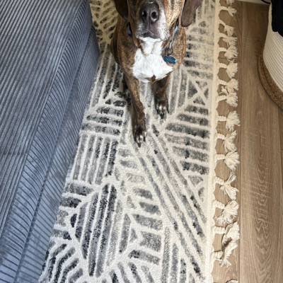 CUP SPILT (feat. Dav0) - Single