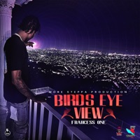 Birds Eye View (feat. more steppa) - Single - Frahcess One