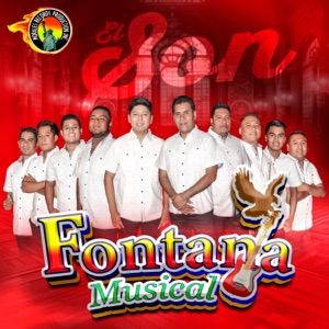 El Son De Amoltepec & La Guitarra - Single