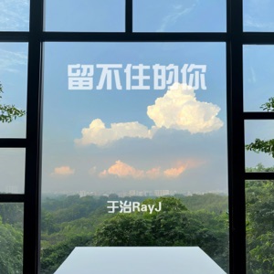 留不住的你 - Single